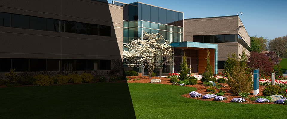 Wilkes Barre Landscapers