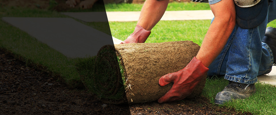 Wilkes Barre Landscapers